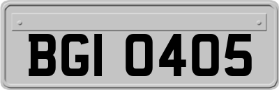 BGI0405