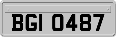BGI0487