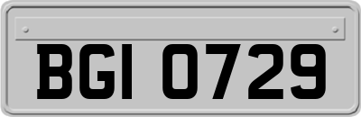 BGI0729