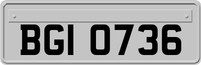 BGI0736