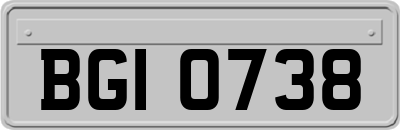 BGI0738