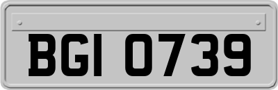 BGI0739
