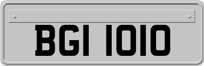 BGI1010