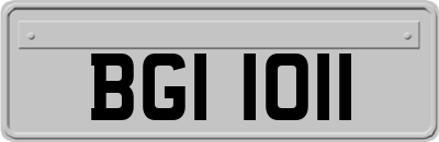 BGI1011