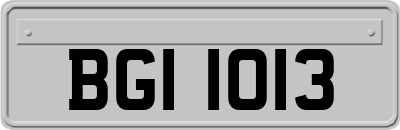 BGI1013