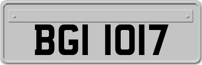 BGI1017