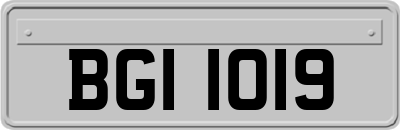 BGI1019