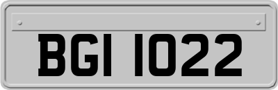 BGI1022