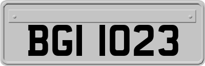 BGI1023