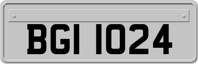 BGI1024