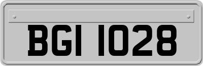 BGI1028