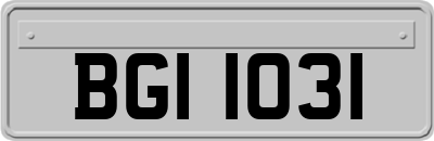 BGI1031