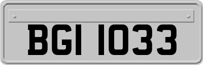 BGI1033