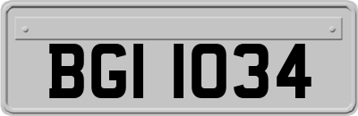 BGI1034