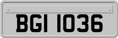BGI1036