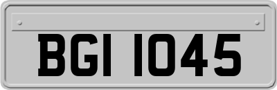 BGI1045