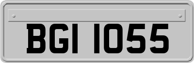 BGI1055