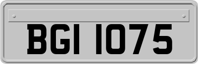 BGI1075