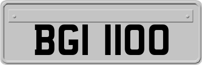 BGI1100