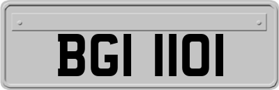 BGI1101