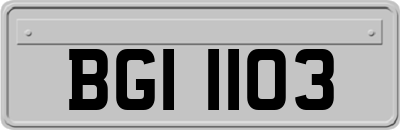 BGI1103