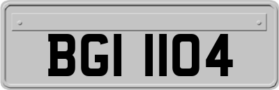 BGI1104