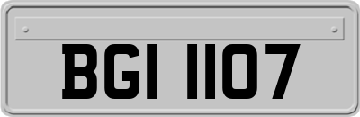 BGI1107