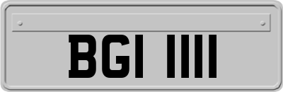 BGI1111