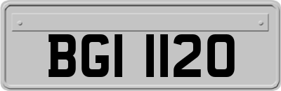 BGI1120