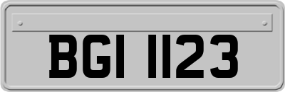 BGI1123