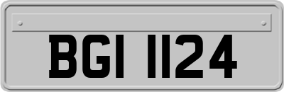 BGI1124