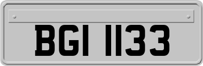 BGI1133