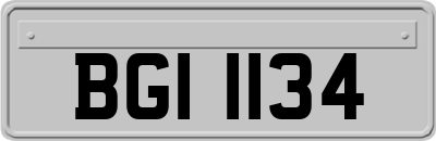 BGI1134