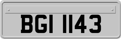 BGI1143