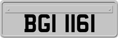 BGI1161