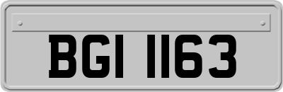 BGI1163