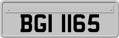 BGI1165