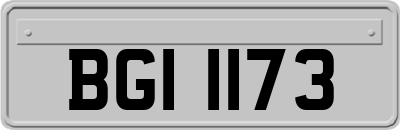 BGI1173