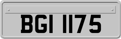 BGI1175