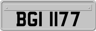 BGI1177