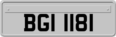 BGI1181