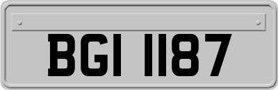 BGI1187