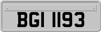 BGI1193