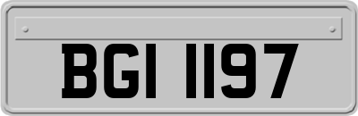BGI1197