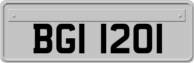 BGI1201
