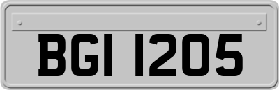 BGI1205