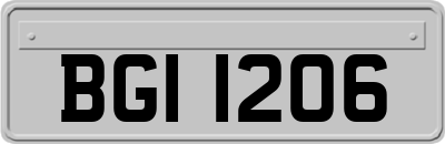 BGI1206