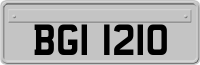 BGI1210