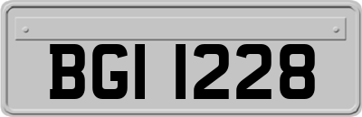 BGI1228