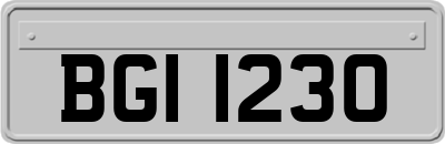 BGI1230